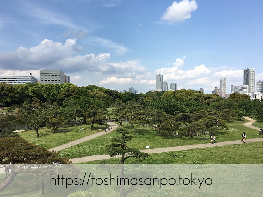 【汐留駅】水上バスにも乗れる!東京湾から繋がる江戸時代の広大な庭園「浜離宮恩賜庭園」の風情。の浜離宮恩賜庭園の富士見山から見た景色2