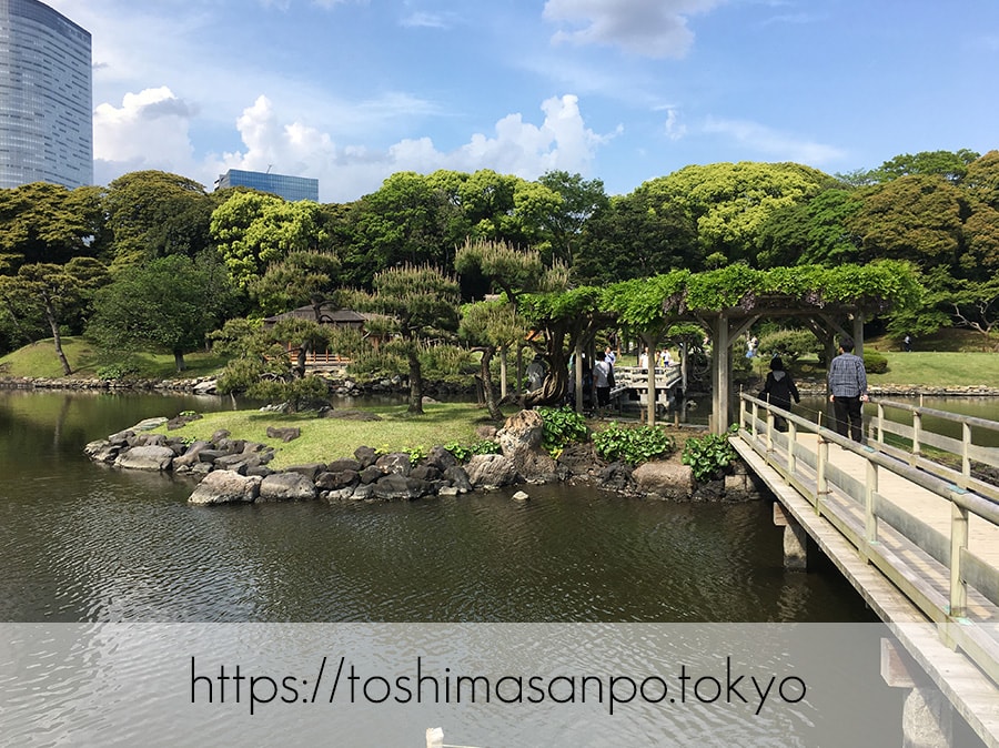 【汐留駅】水上バスにも乗れる!東京湾から繋がる江戸時代の広大な庭園「浜離宮恩賜庭園」の風情。の浜離宮恩賜庭園の小の字島