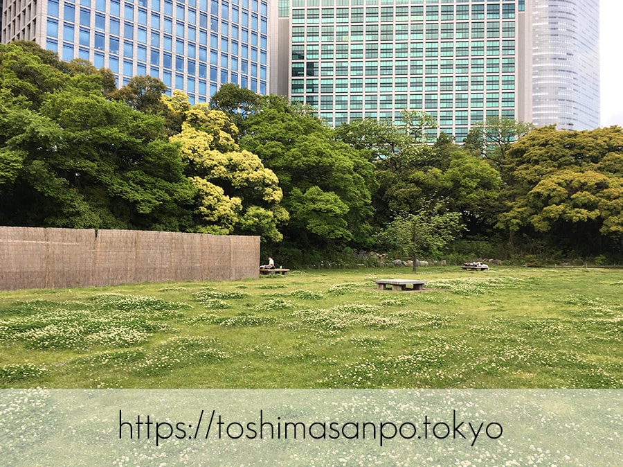 【汐留駅】水上バスにも乗れる!東京湾から繋がる江戸時代の広大な庭園「浜離宮恩賜庭園」の風情。の浜離宮恩賜庭園の野外卓広場1