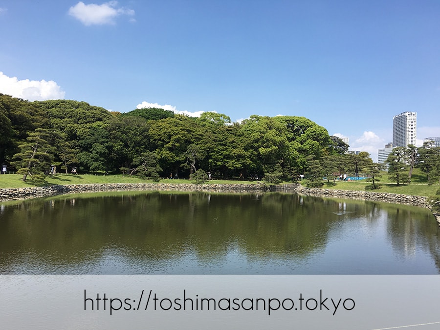 【汐留駅】水上バスにも乗れる!東京湾から繋がる江戸時代の広大な庭園「浜離宮恩賜庭園」の風情。の浜離宮恩賜庭園の景色2