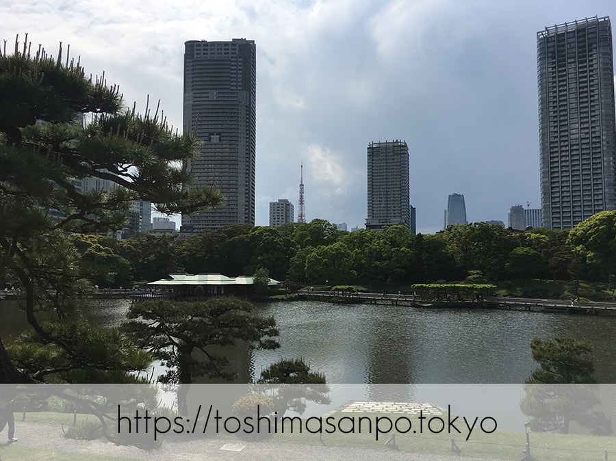 【汐留駅】水上バスにも乗れる!東京湾から繋がる江戸時代の広大な庭園「浜離宮恩賜庭園」の風情。の浜離宮恩賜庭園の景色3