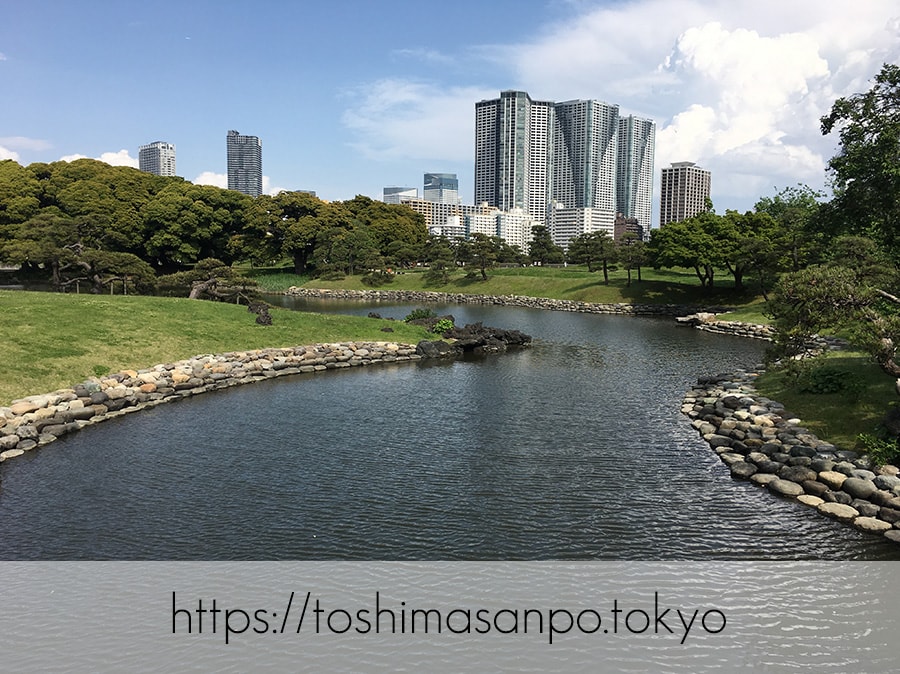 【汐留駅】水上バスにも乗れる!東京湾から繋がる江戸時代の広大な庭園「浜離宮恩賜庭園」の風情。の浜離宮恩賜庭園の景色4