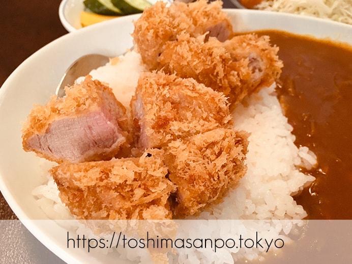 【大塚駅】じっくり揚げ系!脂が溢れるロースとんかつコスパ高すぎ「とんかつ逸業(いつぎょう)」のカツカレー(ヒレカツ)のヒレカツ