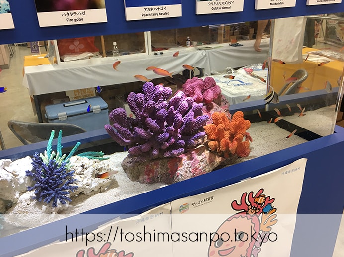 【池袋駅】池袋で沖縄に瞬間移動!第11回サンシャインシティ沖縄めんそーれフェスタ6月2日(日)までの沖縄物産展4